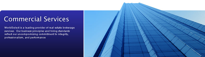 Commercial Services