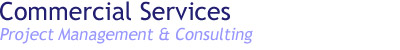 Project Management and Consulting